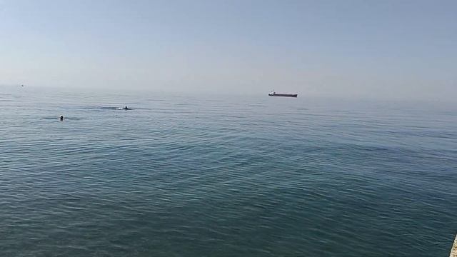 Дедеркой 6 августа 2023 смотреть онлайн