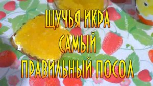 Щучья икра, самый правильный и вкусный посол