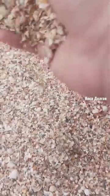 Коса Долгая