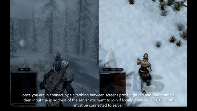 Skyrim Together Nucleus Co Op