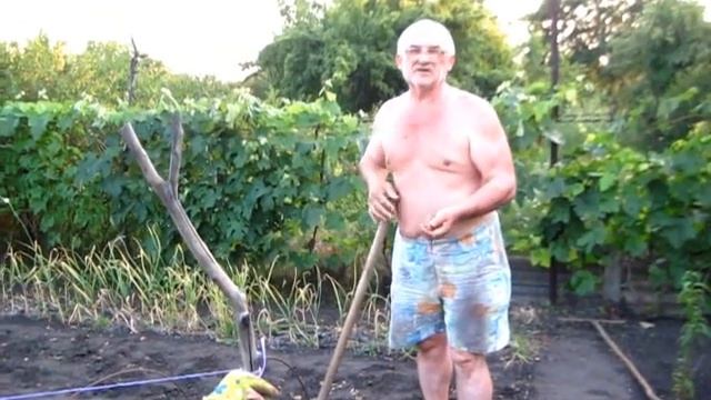 КАРТОШКА РАННЯЯ уродила как всегда смотреть онлайн