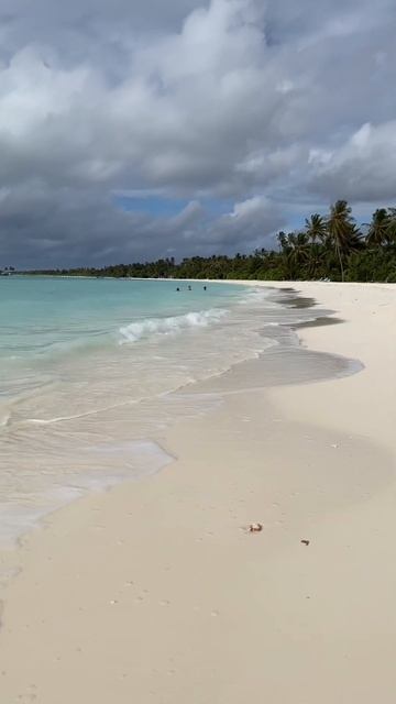 Пляж в отеле Kandima Maldives 5* смотреть онлайн