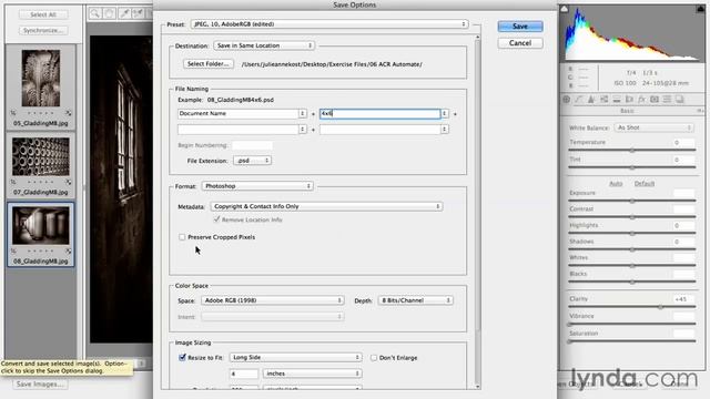 Adobe Photoshop Tutorial - 08 04 Saving multiple files in Camera Raw смотреть онлайн