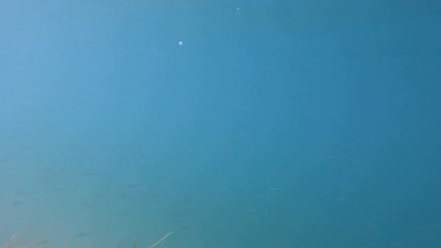 НАТАЛКА поймала РЫБУ 🐟своей МЕЧТЫ🏖️а ОЗЕРО реально💎ГОЛУБОЕ 🤿подводная СЪЁМКА🎥 (эпизод 7) смотреть онлайн