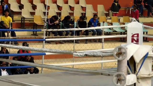 19th State Sub-Junior Girls Boxing Championship 2016-2017, Female Boxing