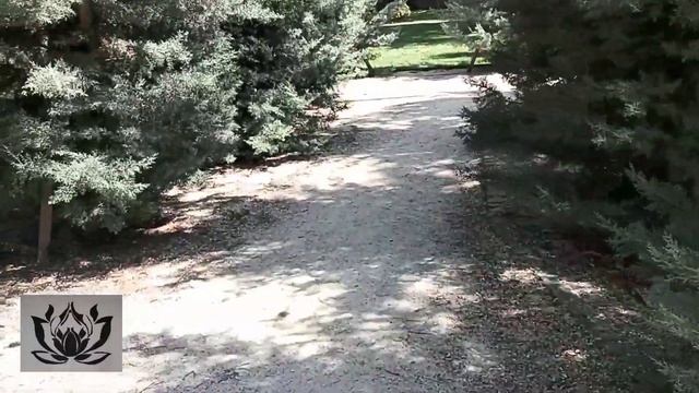 #Тбилиси. парк Киквидзэ. смотреть онлайн