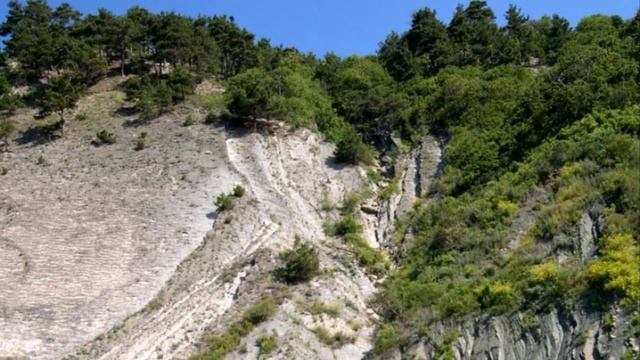 Курорт ДЖУБГА ! 1 смотреть онлайн