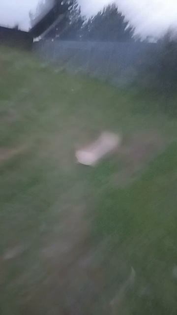 балди позвал меня на свой кемпинг смотреть онлайн