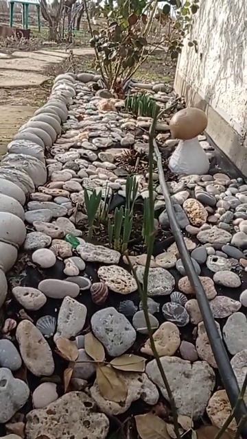 Жизнь без прикрас#Shorts#зимний#февраль# в Крыму 19.02.2023г. смотреть онлайн