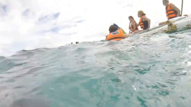 Swimming With Whale Sharks - Oslob Philippines