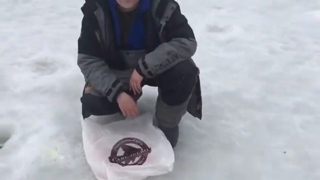 Форель на платном водоеме