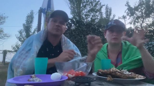 ДОБРЫЙ ВЕЧЕР. Пожарили рыбку на кемпинге в Голубицкой. ДАЖЕ кошка в шоке. Много Комаров, погода 👍 смотреть онлайн
