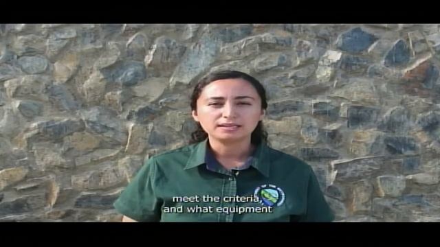 News 5 Live смотреть онлайн