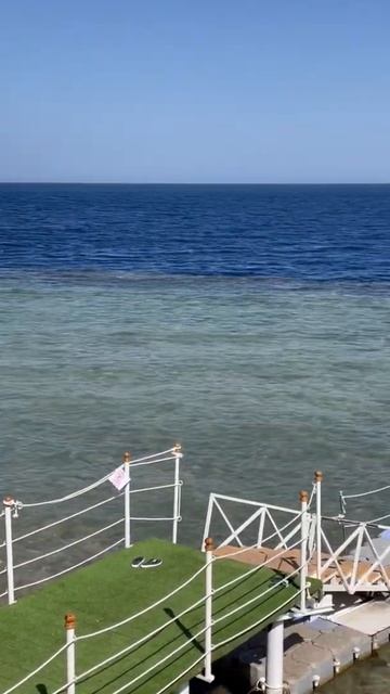 Egypt 2022. Hotel Albatros Royal Grand. Sharm el Sheikh. Египет.Шарм эль Шейх. Красное море смотреть онлайн