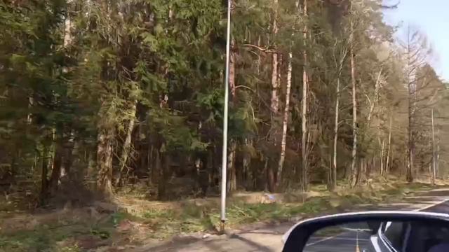 video_2025-04-23_16-31-44 смотреть онлайн