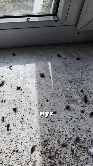 ужасная находка в старом доме смотреть онлайн