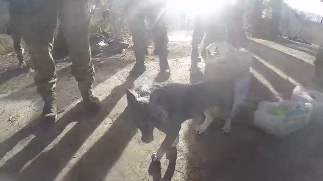 Подарок от Горки-город! смотреть онлайн