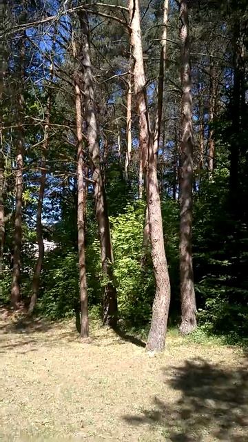 Проходная санатория "Неман". 28.05.17г. смотреть онлайн