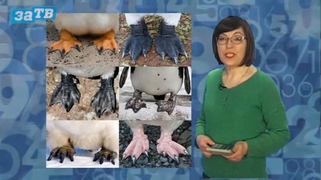 Доброе утро, Заречный! от 25.04.18 смотреть онлайн