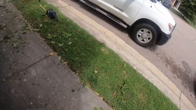 Trimming Bush with Ridgid Reciprocating Saw with Pruning Blade/ Mini Vlog смотреть онлайн