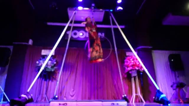 エアリアル　パフォーマンスショー　2021年1月24日（日曜）1:00pm  Glitter In The Air  -Aerial Performance Shows-