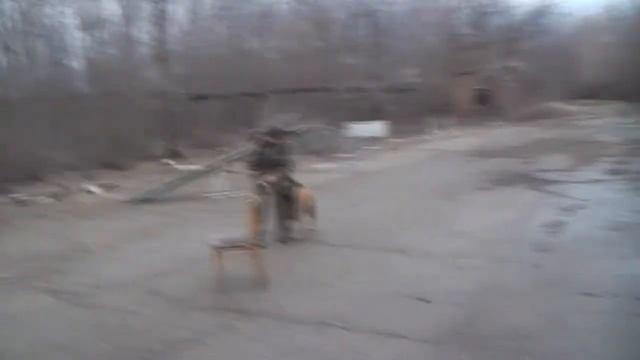 Заятия КЦ Доброгост смотреть онлайн