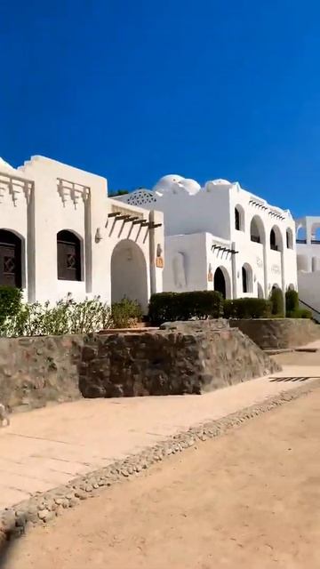 #SHORTS. Egypt. Arabella Azur Resort. Египет. Хургада. Арабелла Азур. смотреть онлайн