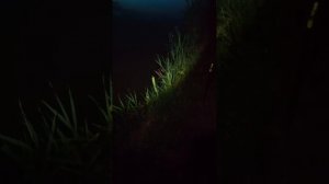рыбалка краснодарского края, ловим на канале в дгк,с 8.05.24 по 9.05.24.