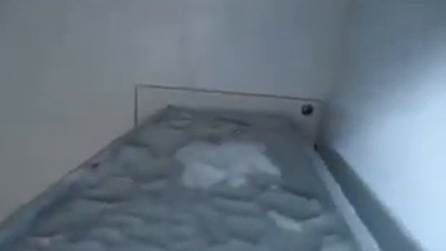 M.C Arancia Resort Hotel 5 турция 2016 год