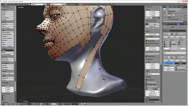 Retopology Head In Blender