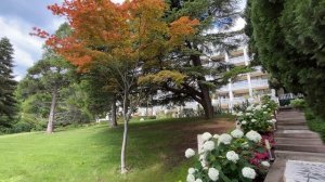 Санаторий Айвазовское. 16 июня 2024 года. Партенит, Крым.