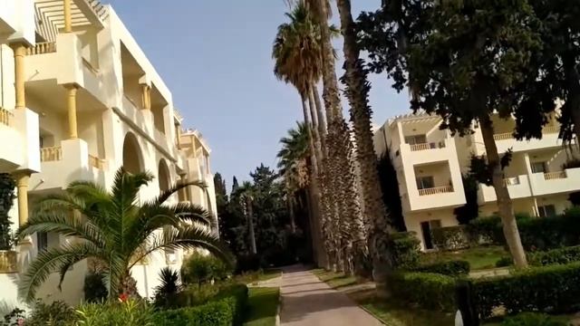 Delfino Beach Resort & Spa 4* хаммамет тунис