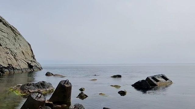 Крым. Партенит. Карасан. 2 апреля 2024 смотреть онлайн