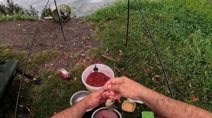 Рыбалка и не только село Красносельское .15.06.2024.