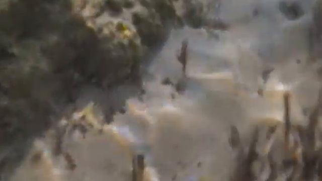 Пляж Херсонесоса (вид снизу)