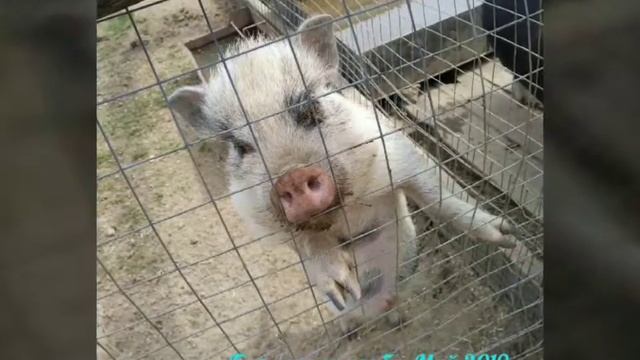 Барская усадьба Май 2019 смотреть онлайн