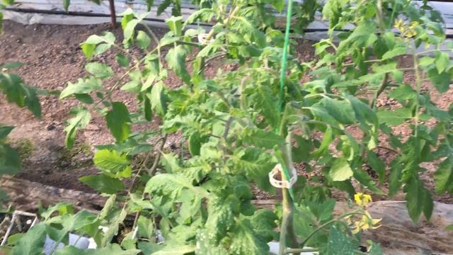 IMG 0939а2 смотреть онлайн