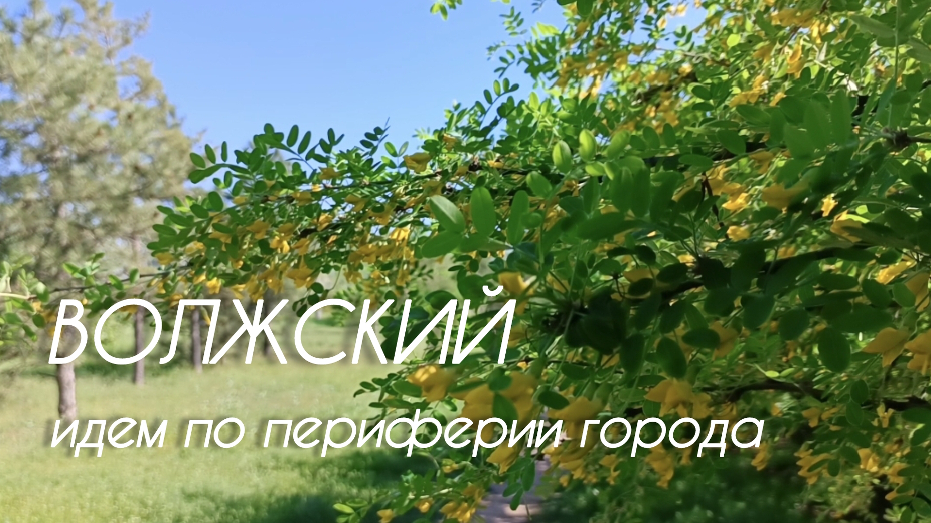 Волжский 25.04.2025 О чистоте улиц на периферии смотреть онлайн