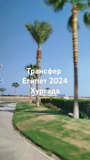 отель Palm Royal Soma Bay смотреть онлайн