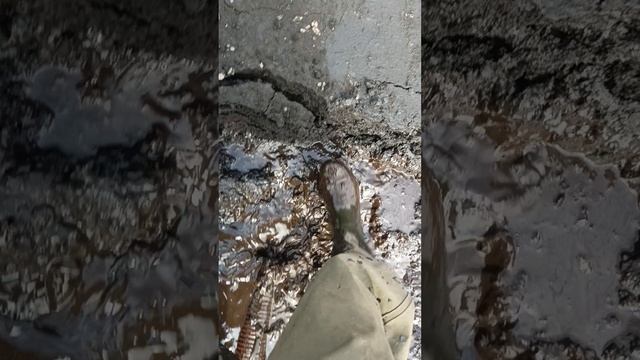 Вакуумная илососная машина.