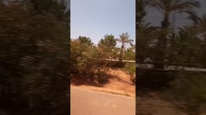 Из Авсаллара в Аланию на аатобусе