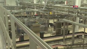 Губернские новости. 25.04.2025