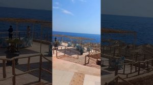 Sharm Reef 4*,пляж отеля