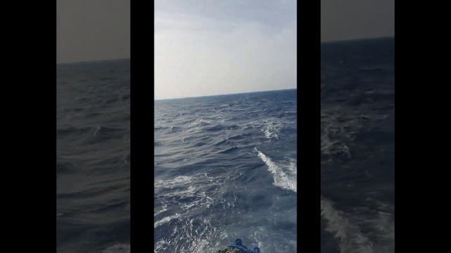 Наше путешествие компанией в Египет. Шарм эль Шейх. Ноябрь 2023. AMPHORAS BEACH HOTEL 5* смотреть онлайн