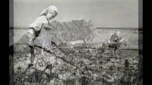 Куда смотрел СМЕРШ такую диверсию с продуктами провернуть без Ст