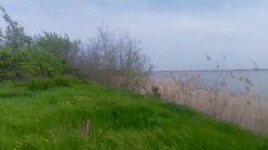 VID_20250425_091055.mp4