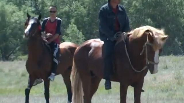 "Угольное 2010" смотреть онлайн