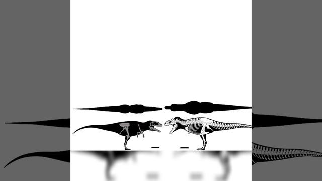 Tyrannotitan And Tyrannosaurus Rex Size Comparison смотреть онлайн