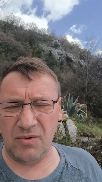 😎☀ Курорт и корова 🐮🤣👍 смотреть онлайн