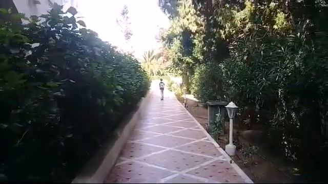 Экскурсия по отелю Le Hammamet Hotel & Spa смотреть онлайн